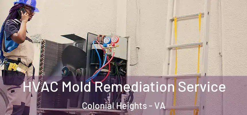  HVAC Mold Remediation Service Colonial Heights - VA
