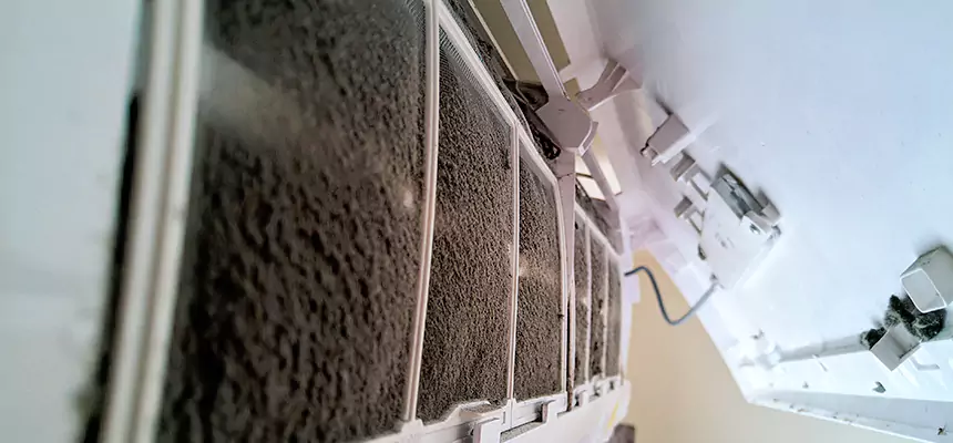 Preventive Air Duct Bacteria Removal in Colonial Heights