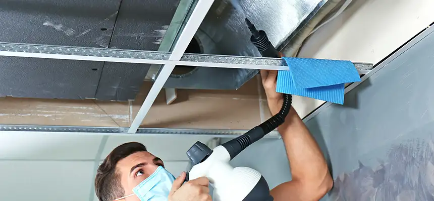 Our Air Duct Rodent Removal Services in Colonial Heights, VA