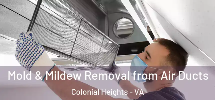  Mold & Mildew Removal from Air Ducts Colonial Heights - VA