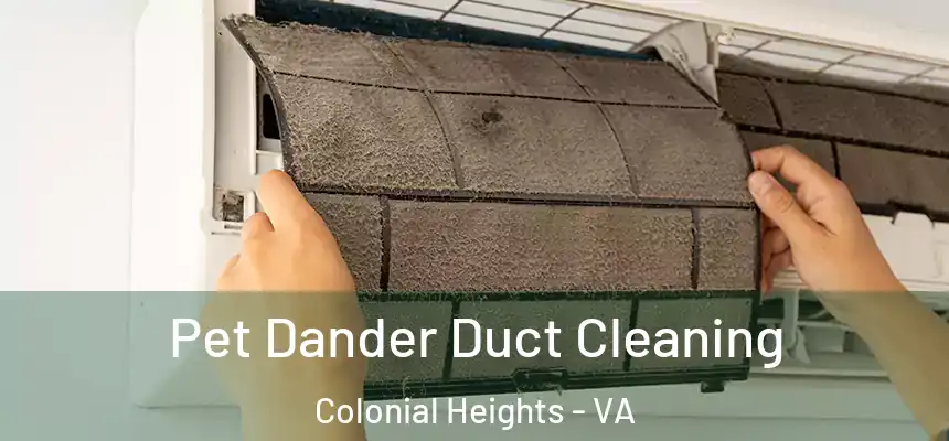  Pet Dander Duct Cleaning Colonial Heights - VA