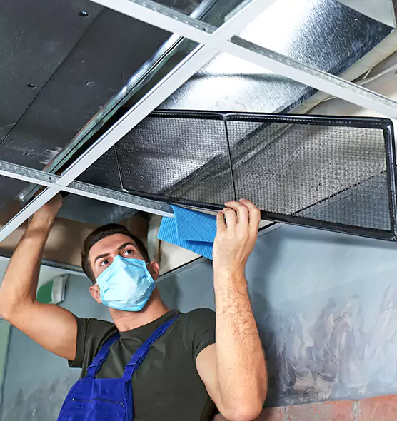 Professional Air Duct Pollen Cleaning in Colonial Heights, VA