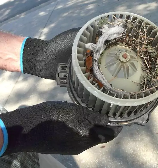 About Air Duct Rat Removal in Colonial Heights, VA