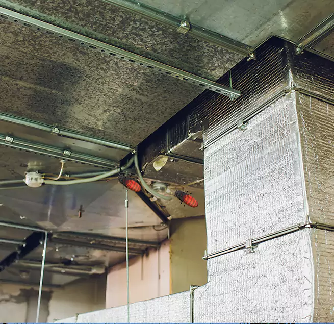 Why Homeowners & Businesses Trust Us in Colonial Heights, VA?