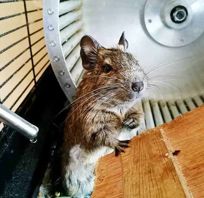 Why Homeowners & Businesses Trust Us Colonial Heights, VA?