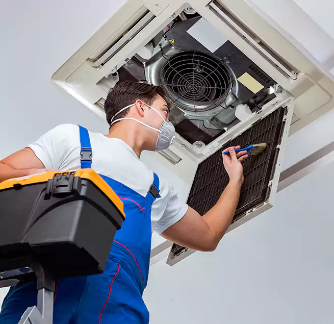 Why Homeowners & Businesses Trust Us in Colonial Heights, VA